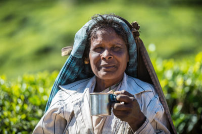 Tea picture